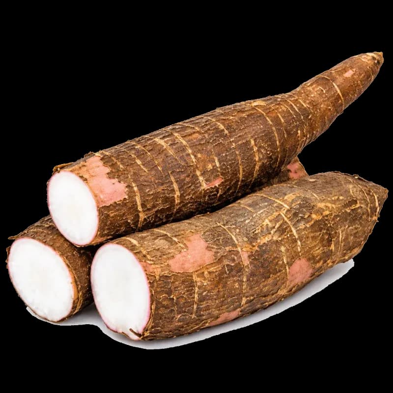Aipim Branco